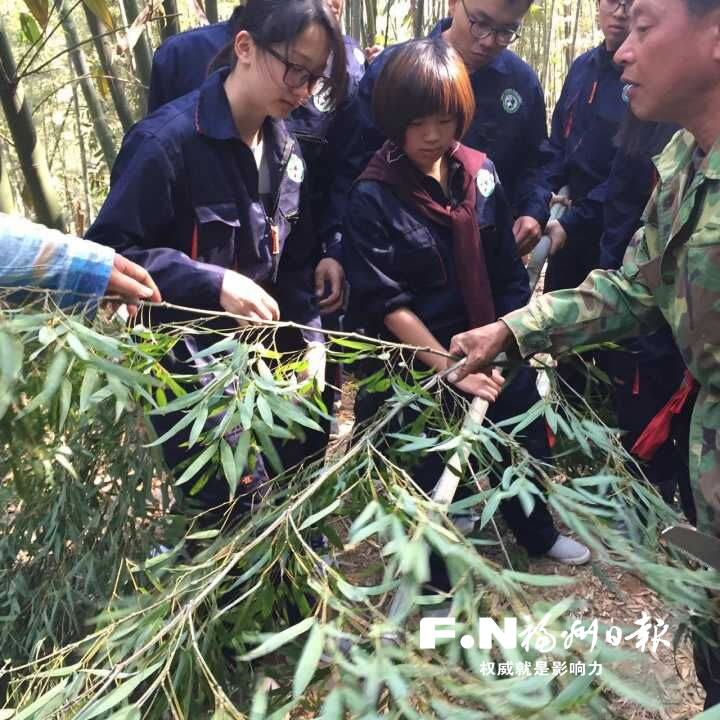 臺灣大學(xué)生來榕學(xué)習(xí)飼養(yǎng)熊貓